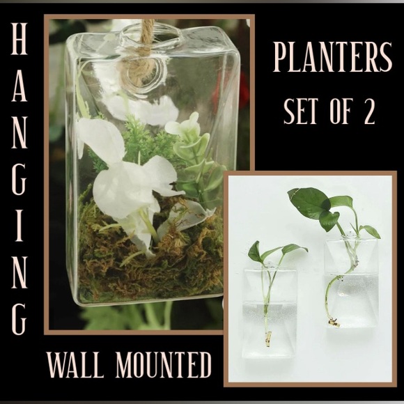 Other - Glass Planter/Vases Set of 2